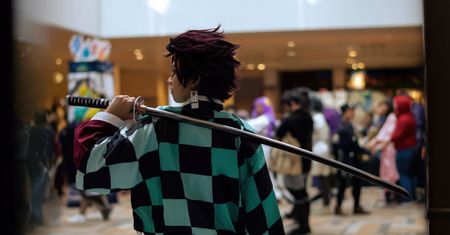 Lubomierz po raz kolejny stanie się europejską stolicą gier, anime, komiksów i literatury fantasy i fotografii. Od piątku rusza PixelMania