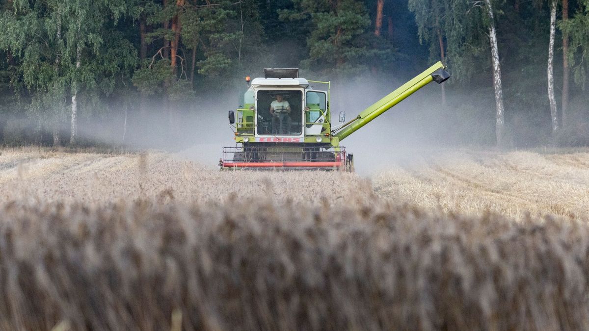 Ukraina sprzeciwia się zakazowi importu ukraińskiej produkcji rolnej do krajów UE  