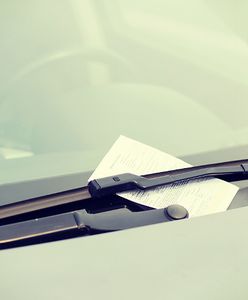 Zawód znienawidzony przez społeczeństwo. Jak wygląda praca parkingowego?