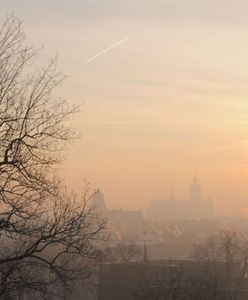 Smog w Krakowie. Collegium Medicum UJ: połowa krakowskich uczniów cierpi na alergię