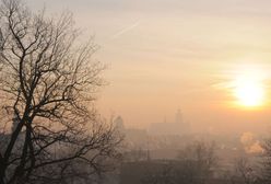 Smog w Krakowie. Collegium Medicum UJ: połowa krakowskich uczniów cierpi na alergię