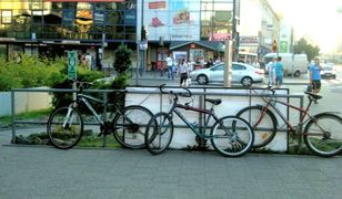 Gdańsk stawia na ochronę środowiska. Promuje jazdę na rowerze