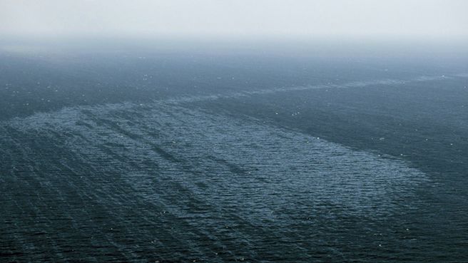 Plama mazutu, który wyciekł z wraku