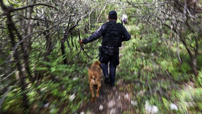 Policyjne poszukiwania zaginionych studentów (zdjęcie z października ub. r.)