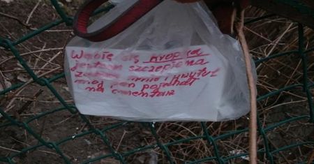 Gdański strażnik miejski przygarnął psa znalezionego na patrolu