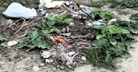 Gdańscy urzędnicy będą walczyć z nielegalnymi wysypiskami. Chcą zatrudnić detektywów