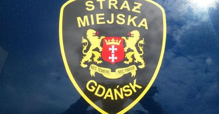 Pływał w ubraniu w Wiśle. Trafił na konsultację psychiatryczną