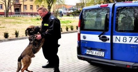 Policyjny pies uratował zaginionego Pomorzanina. ''Nie potrafił trafić do domu''