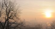 Smog w Krakowie. Collegium Medicum UJ: połowa krakowskich uczniów cierpi na alergię