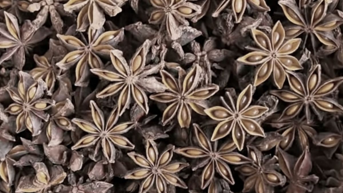 Anyż to aromatyczna przyprawa o wielu prozdrowotnych właściwościach.