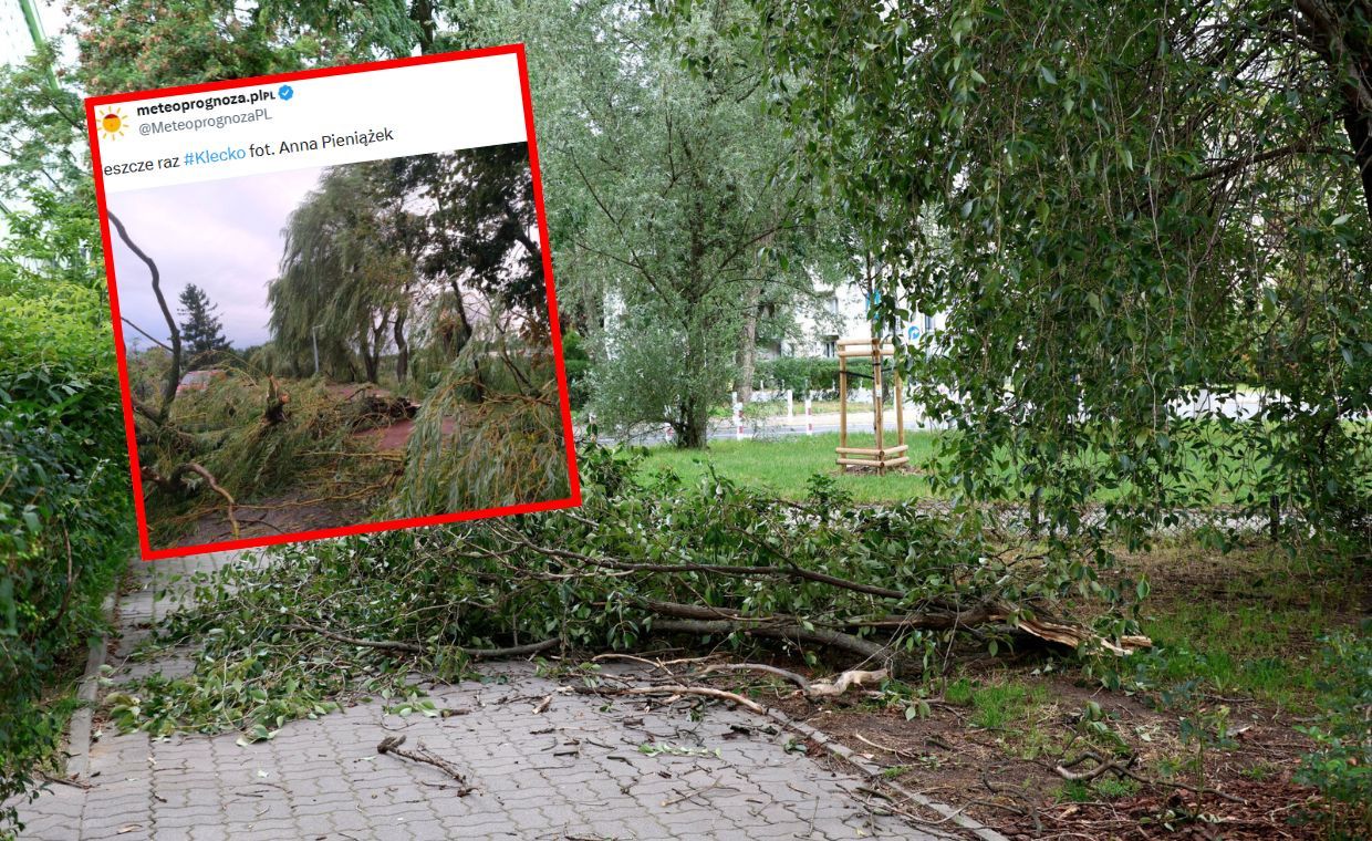 Trąba powietrzna w Wielkopolsce: Strażacy w alarmie, 260 interwencji w ciągu kilku godzin