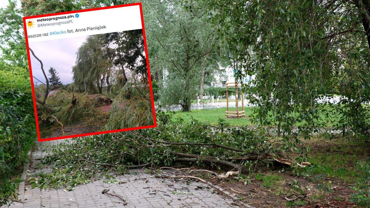 Trąba powietrzna w Wielkopolsce? Strażacy mają setki zgłoszeń