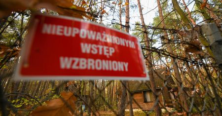 Walka o władzę w Lasach Państwowych. Dwa zniszczone samochody i wielkie straty