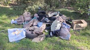 Smutne. Ktoś wyrzucił śmieci po budowie do lasu koło Zielonej Góry