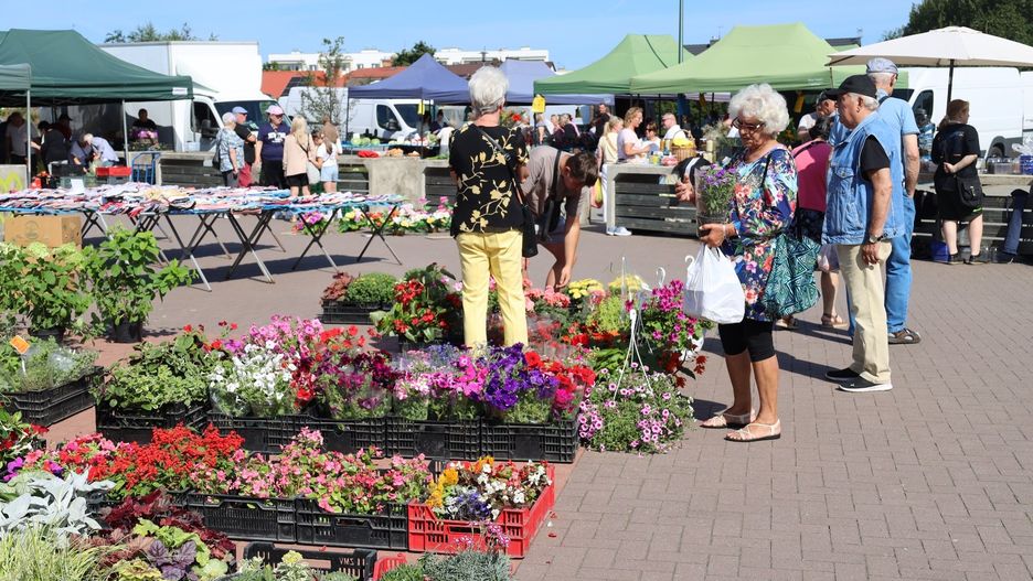 Targowisko miejskie rynek w Szczecinku