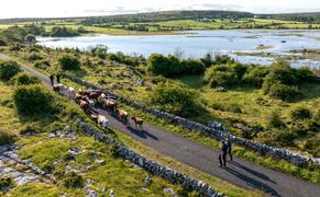 BBC Earth HD Parki narodowe z lotu ptaka: Irlandia