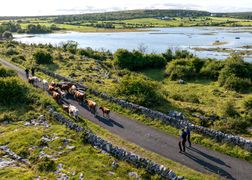 BBC Earth HD Parki narodowe z lotu ptaka: Irlandia