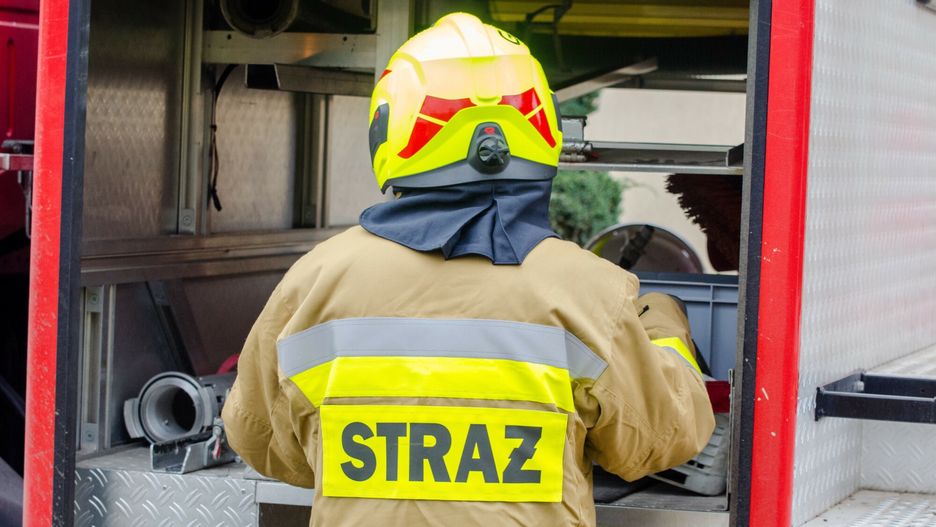 Skutki wichur nad Polsk?
Fot. NewsLubuski/East News, Kozla gmina Swidnica, 17.02.2022. Silne porywy wiatru w wojewodztwie lubuskim. Strazacy z Zielonej Gory i okolic od rana usuwali skutki wichury. Lacznie odnotowali okolo 300 interwencji.
NewsLubuski
