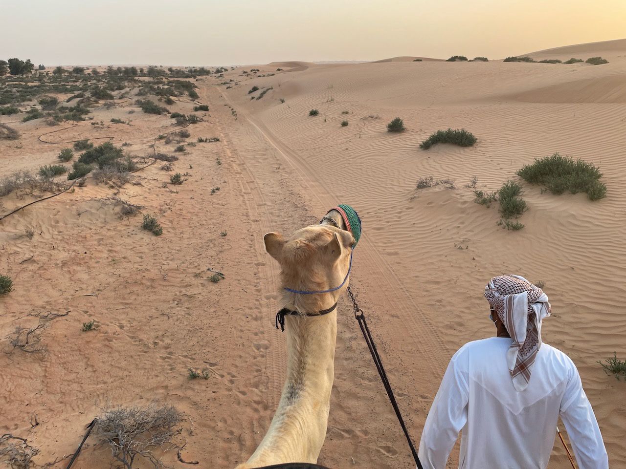 Noc na pustyni w Dubaju