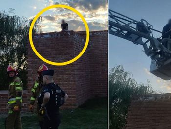 Sandomierz: Dla żartu wdrapał się na mur. Strażacy ewakuowali 39-letniego turystę