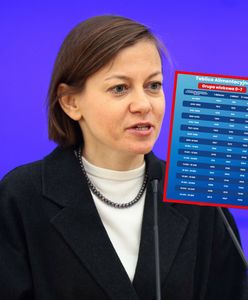 Burza wokół tablic alimentacyjnych. Wiceministra zapowiada kroki