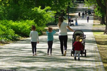 Ilu Ukraińców dostaje 800 plus? Wielka zmiana. Oto powód