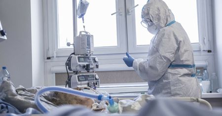 "Odgrywamy pewien psychothriller społeczny". Lekarz krytycznie o braku działań rządu