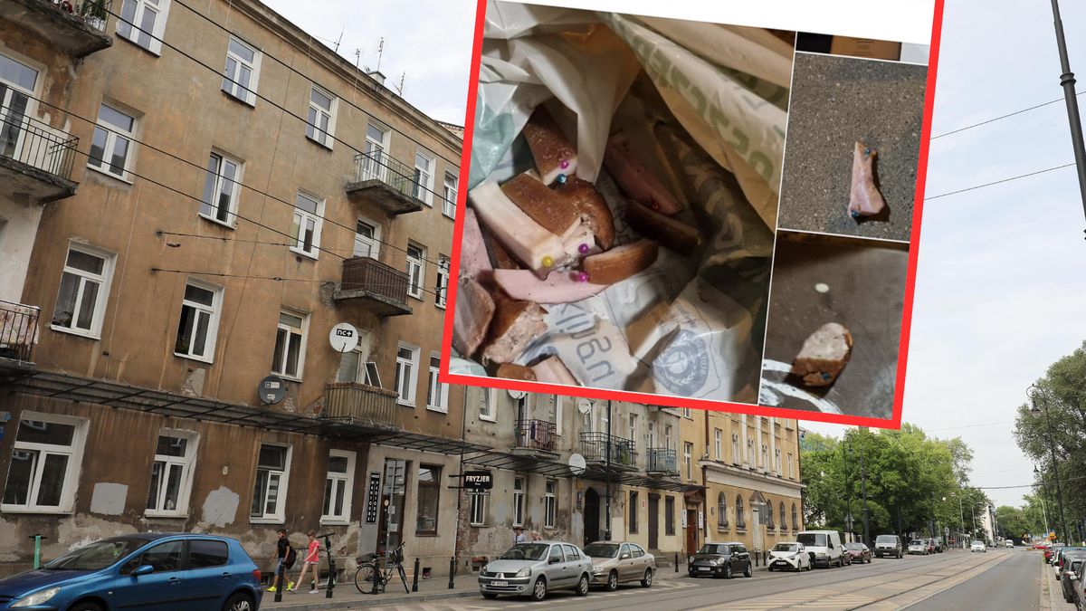 Ktoś próbuje otruć psy w Warszawie kiełbasą naszpikowaną szpilkami