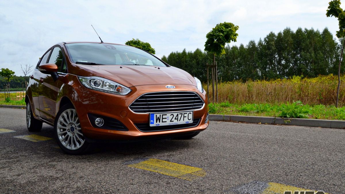 Zdjęcie ilustracyjne do artykułu