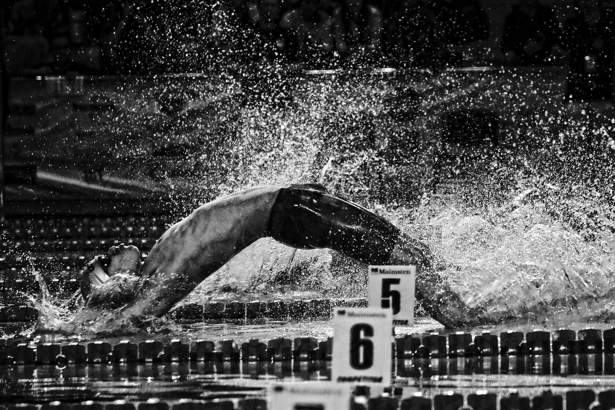 Oto najlepsze zdjęcia konkursu BZ WBK Press Foto 2016. Nasi autorzy wśród laureatów! 8