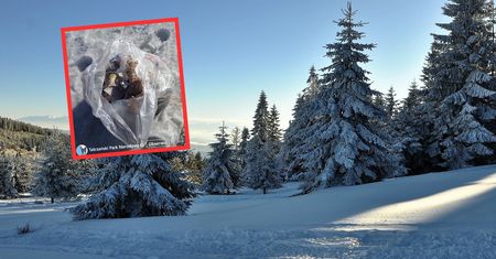 Pokazał, co znalazł w górach. Skandaliczne zachowanie turystów