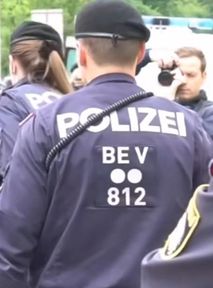 Extinction Rebellion activists protest in Bregenz. Police steps in