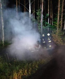 Pożar pod Złotowem. W lesie znaleźli auto
