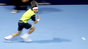 ATP Szanghaj: Ferrer, Roddick i Berdych walczą o Londyn