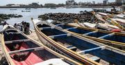 Senegal – afrykański raj. Co musisz wiedzieć o Senegalu?