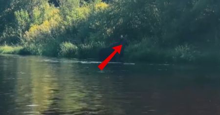 Był we Wkrze. Nagle się odwrócił. Wszystko nagrał