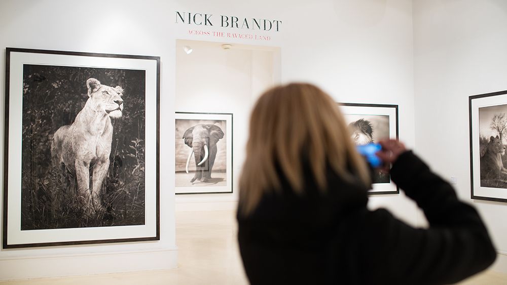 Inspiracje z Berlina 1