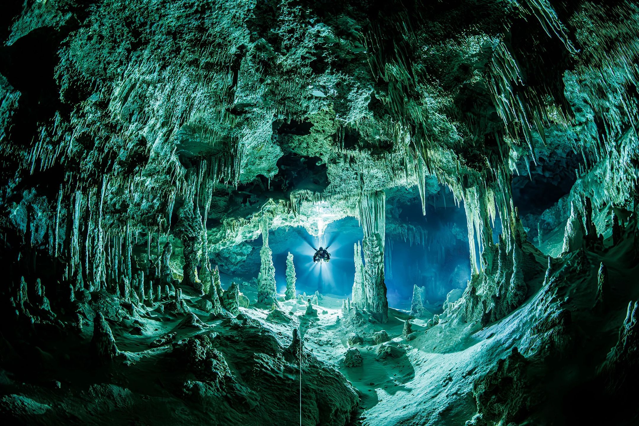 Przemysław Zyber, „Piwnice Majów”