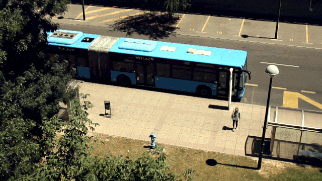 Najlepsze cinemagraphy wprost z konkursu 29