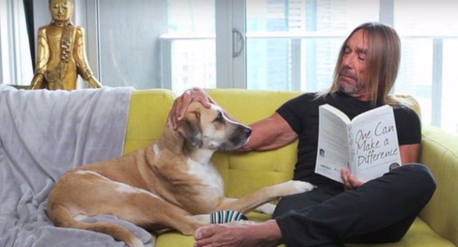 "Breathless" - Nick Cave i Iggy Pop w obronie zwierząt