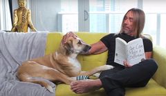 "Breathless" - Nick Cave i Iggy Pop w obronie zwierząt