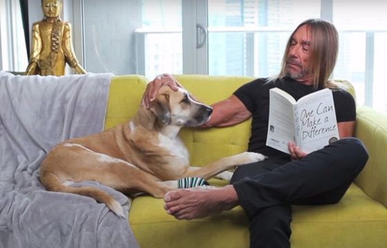 "Breathless" - Nick Cave i Iggy Pop w obronie zwierząt