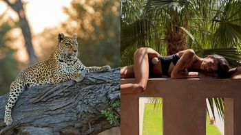 Anna Markowska w wyciętym BIKINI pręży się niczym lampart na gałęzi. Hot? (FOTO)