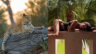 Anna Markowska w wyciętym BIKINI pręży się niczym lampart na gałęzi. Hot? (FOTO)