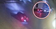 19-latka w BMW "chciała ominąć kota". Monitoring ujawnił prawdę