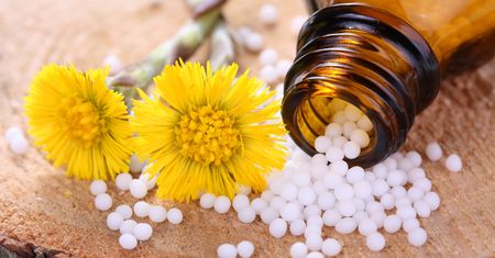 Karaluch, muchomor pospolity... Sprawdź, co skrywają w sobie leki homeopatyczne!