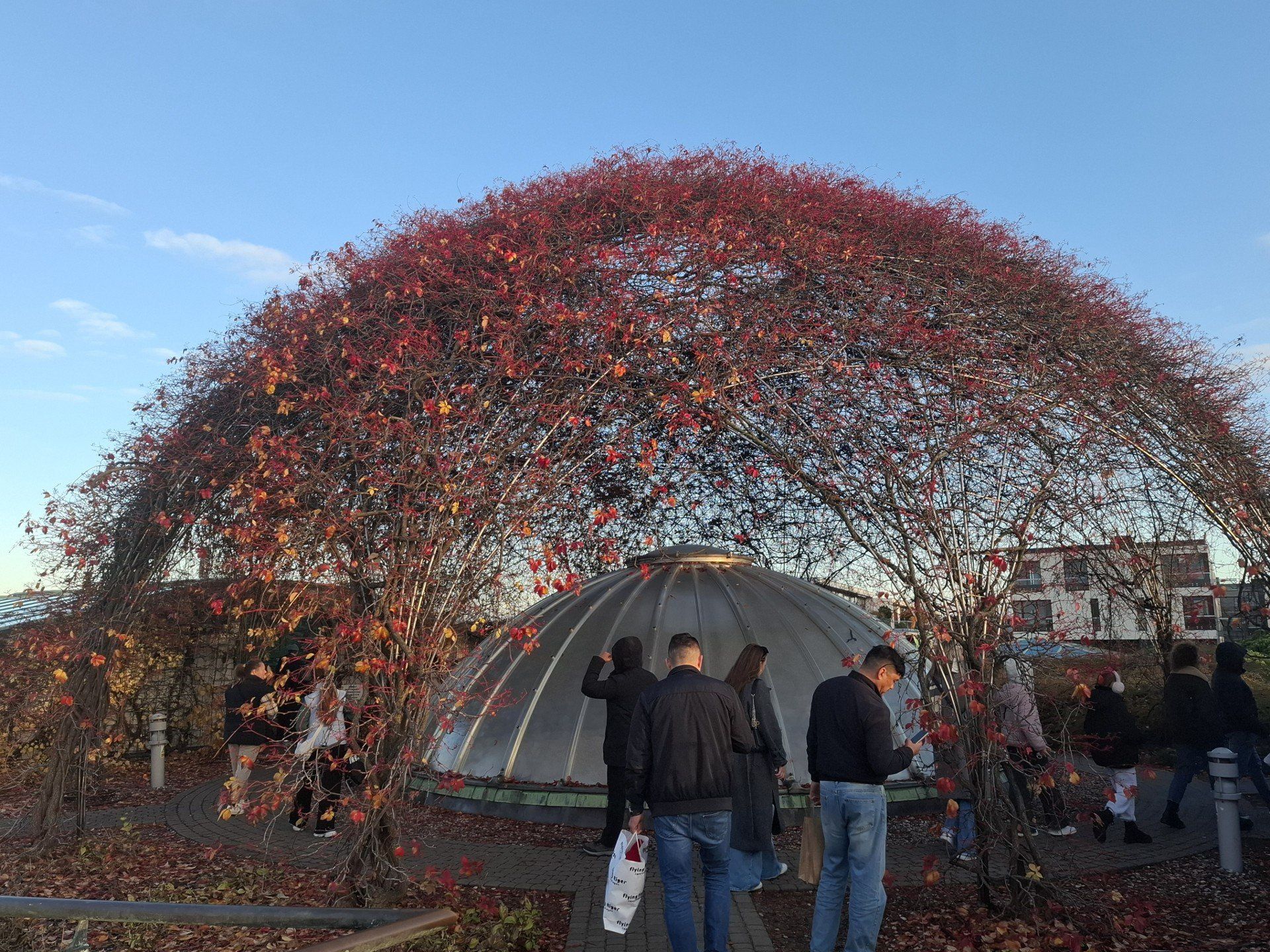 Jesień w Ogrodach BUW