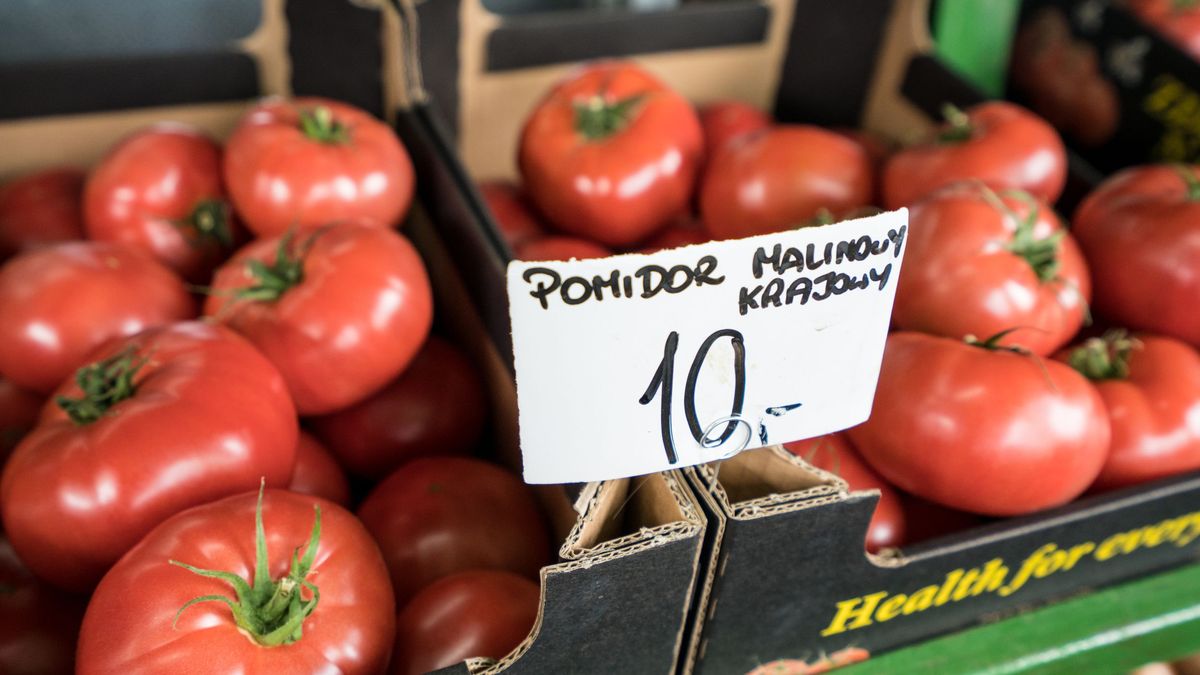 bazar warzywa pomidor