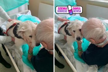 Rewolucja w szpitalu. Pacjenci spędzają święta ze swoimi pupilami