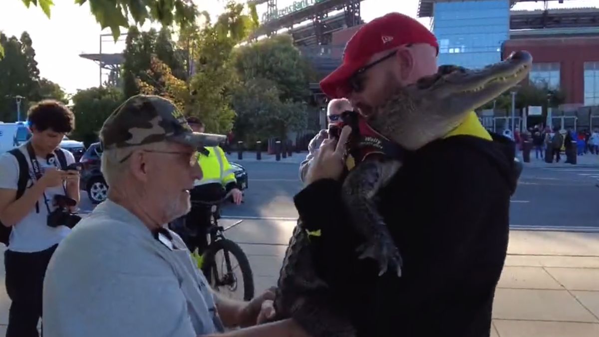 Kibic chciał wejść na stadion z aligatorem